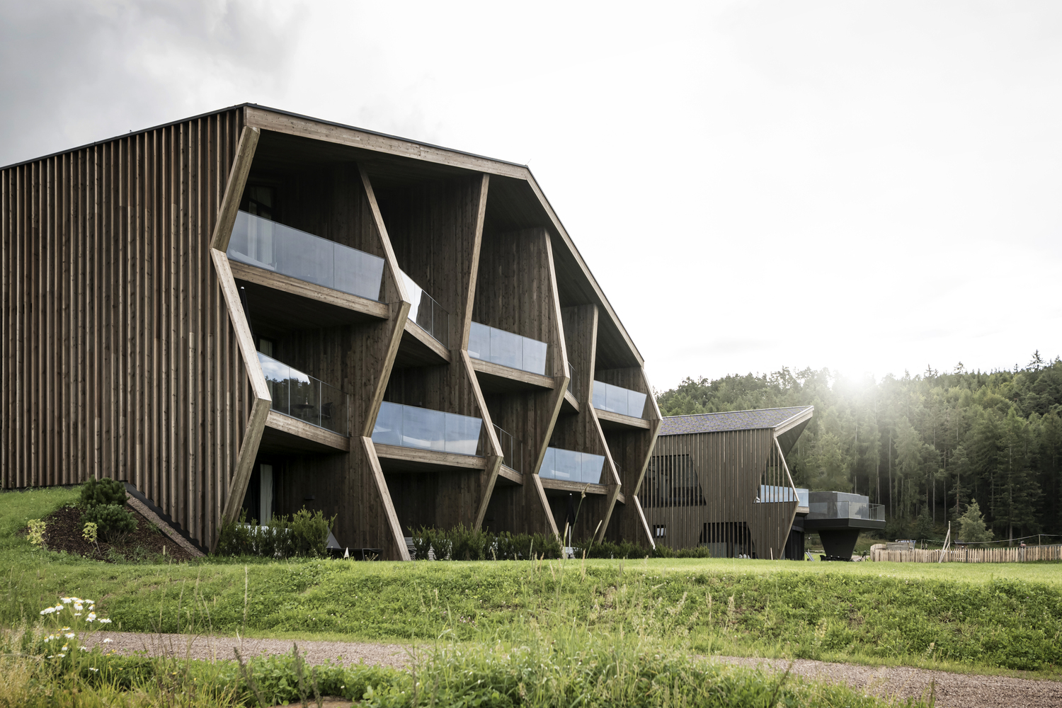 zeytinyağı ph kaç olmalı Açıklamalı 101