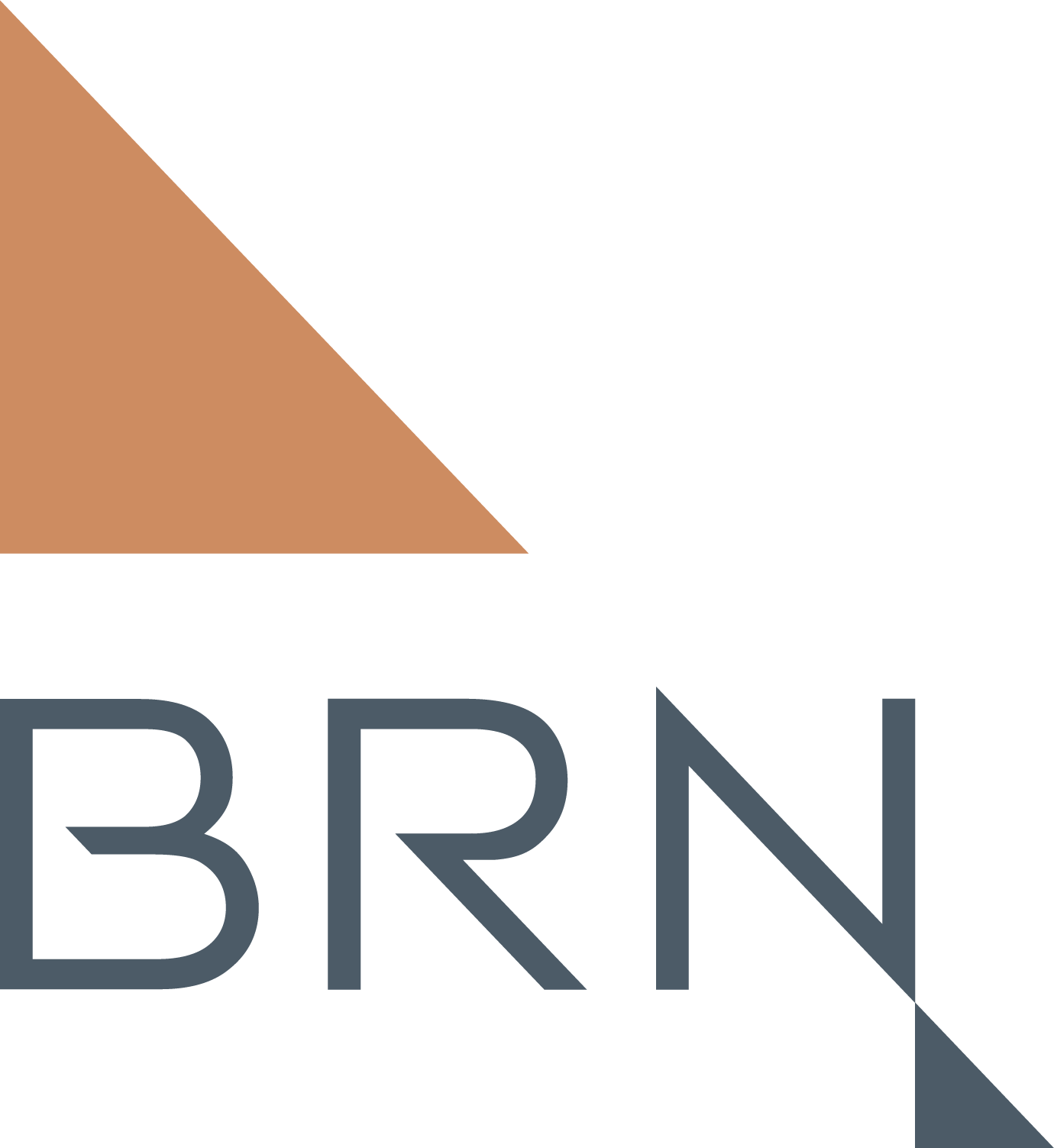 BRN Mimarlık Çalışma Arkadaşları Arıyor Arkitera