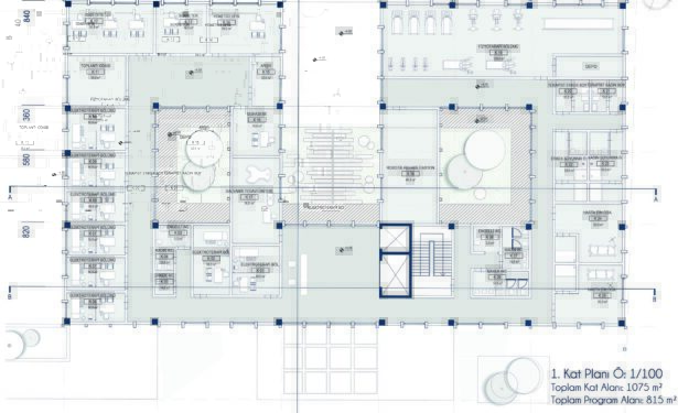 Kokrak bilan tajriba otkazishni oz ichiga olgan oyinlar